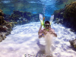 Discovery the reef by Cinzia Bismarck 
